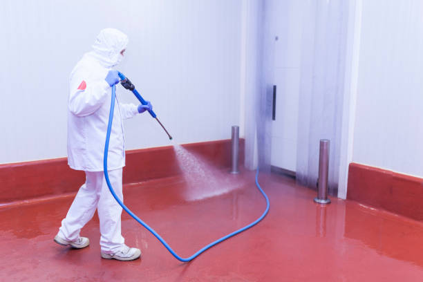 Best Driveway Pressure Washing  in Tiffin, IA